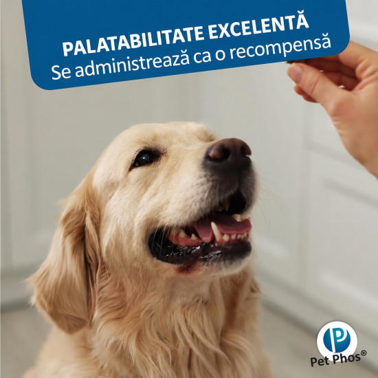 PET PHOS Croissance Grand Chien, 100 comprimate – suport mineral și vitaminic pentru juniori de talie mare
